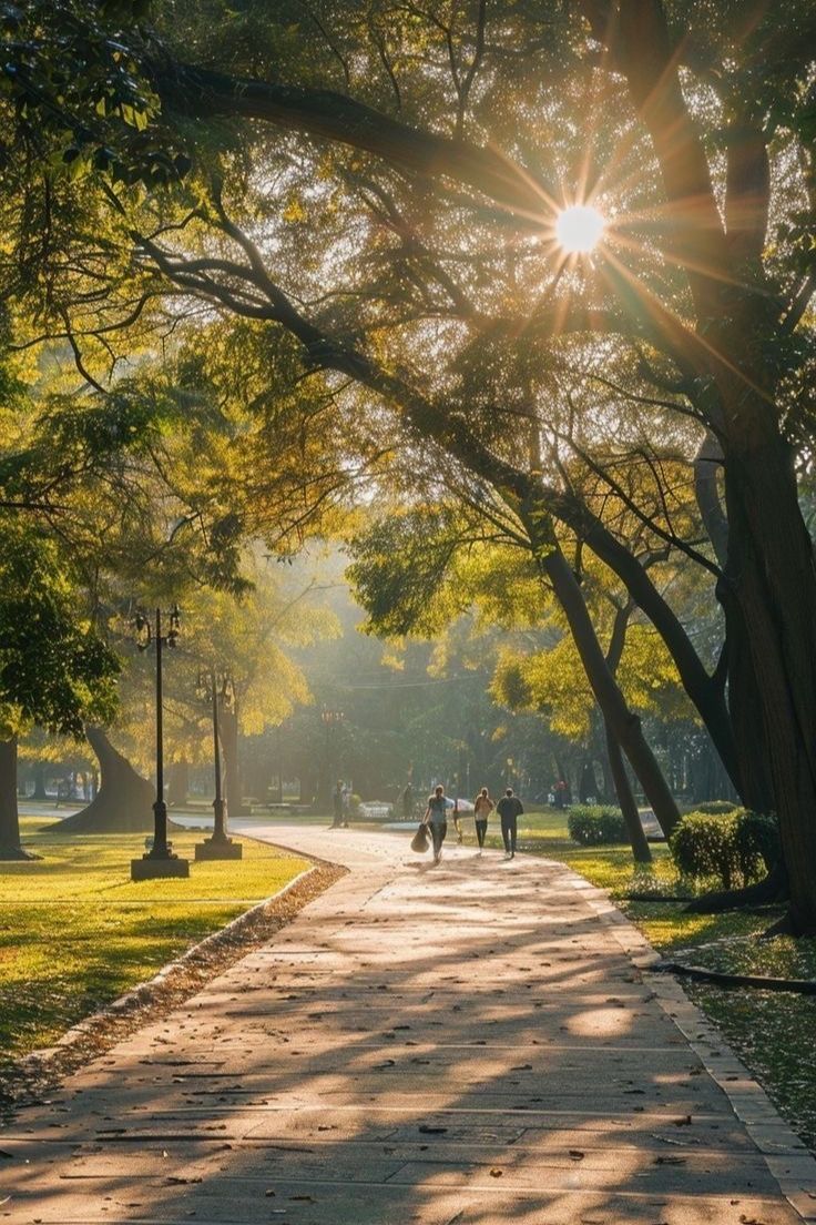A quiet park footpath curving between trees at sunrise, suitable for a gentle morning walking loop